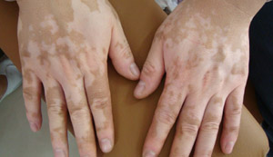 2009070921173055[1].jpg